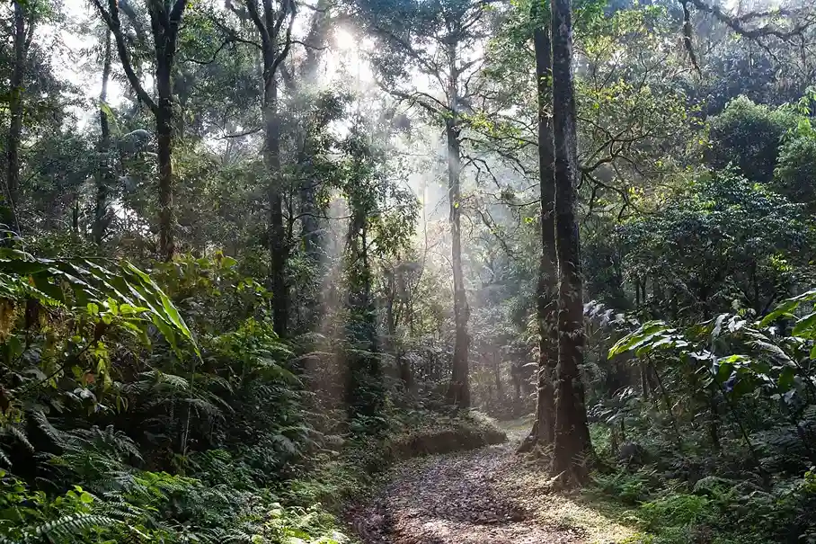 Studi dampak sosial dan lingkungan untuk proyek korporasi